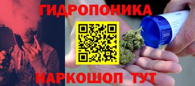 jwh Камышлов