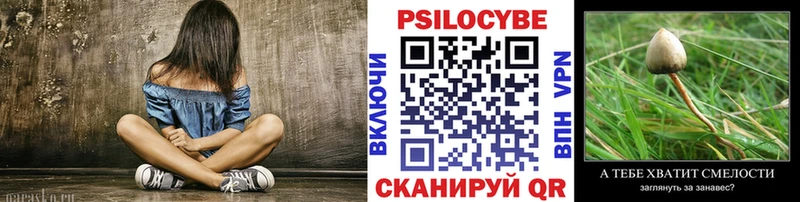 Галлюциногенные грибы Psilocybe даркнет состав Новочебоксарск