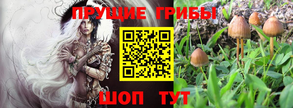 Галлюциногенные грибы GOLDEN TEACHER Новочебоксарск
